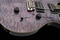 PRS SE Custom 24 - Quilt package (violet)