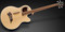 RockBass Alien Standard 4-String (natural transparent satin)