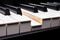 Roland Fantom 8 EX (88 keys)