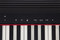 Roland GO-61P GO:Piano