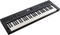 Roland GO:KEYS-5 (graphite)