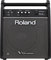 Roland PM-100 Personal Monitor