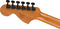 Squier Contemporary Stratocaster Special (black)