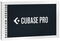 Steinberg Cubase 13 Pro EDU (GB/D/F/I/E/PT)