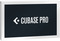 Steinberg Cubase 13 Pro (GB/D/F/I/E/PT)