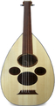 APC Instruments Arabic Oud 308 (incl. case)