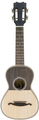 APC Instruments Cavaquinho 108 (4 strings)