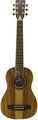 APC Instruments TR200 KOA KOA ST (open pore, incl. bag) Traveler Acoustic Guitars