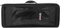 Analog Cases Sustain Case For HydraSynth Deluxe/ Akai MPC 61 Accessoires pour synthétiseur