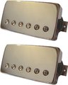 Bare Knuckle Black Dog Calibrated Covered Set (nickel cover, 4 conductor) Electric Guitar Pickup Sets