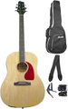 BlackLine SA-35 DS-N Starterset (natural) Conjunto para Principiante de  Guitarra Western