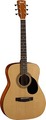 Cort AF 510 (open pore finish) Acoustic Guitars