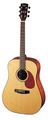 Cort Earth-100 (Natural) Acoustic Guitars