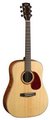 Cort Earth 100 (Quilted Bubinga) Acoustic Guitars