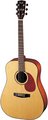 Cort Earth-100F (Natural-Satin) Acoustic Guitars with Pickup