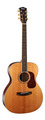 Cort Gold-O8 (natural, w/case)