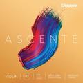 D'Addario Ascente 1/8 String Set / A310 (medium tension)