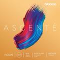 D'Addario Ascente 4/4 String Set / A310 (medium tension)