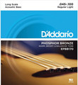 D'Addario EPBB170 Acoustic Bass (45-100)