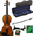 Ecoviolin Strad Set / Two Piece Back (incl. case, bow, strings, shoulder-rest, rosin) Set Violino