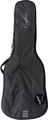 Epiphone Acoustic Guitar Bag by Ritter (anthrazit) Acoustic Guitar Bags