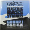Ernie Ball 2802 Flatwound Bass Strings Group I