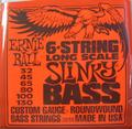 Ernie Ball 2838 6-String Slinky Long