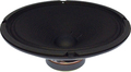 Fender 10' (8 ohms) Speaker 099-4810-003