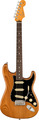 Fender American Pro II Strat RW (roasted pine) Guitares électriques modèle ST