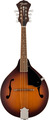 Fender PM-180E Mandolin (aged cognac burst, w/ bag) Mandolino con Pickups