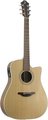 Furch D 21 SO Cut (Natural Satin Finish) Cutaway Acoustic Guitars with Pickups