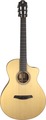 Furch GNc2-SW (with LR Baggs EAS VTC NYLON) Classical Guitars with Pickup