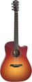 Furch Green Dc-SR SPE Master's Choice (sunburst with LR Baggs Stagepro Element)
