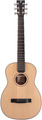 Furch LIttle Jane 11 SR (incl. LR Baggs EAS VTC)