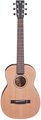 Furch Little Jane 10 CM (with LR Baggs EAS VTC) Chitarre Acustiche Traveller