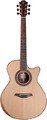 Furch Red Deluxe Gc-LR / Top: Sitka Spruce, Back & Sides: Rosewood (w/ LR Baggs Stagepro Anthem pickup)