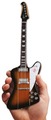 Gibson Firebird V (vintage sunburst)