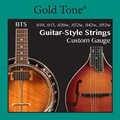 Gold Tone Guitar-Style Banjitar Strings BTS