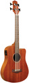 Gold Tone M-Bass 23-Inch Scale Acoustic-Electric MicroBass (incl. bag) Akustikbass 4-saitig