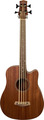 Gold Tone M-Bass 25/FL (incl. bag) Akustikbass 4-saitig