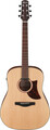 Ibanez AAD100E-OPN (Open Pore Natural)