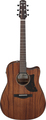 Ibanez AAD190CE-OPN (open pore natural)