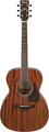 Ibanez AC340-OPN (Open Pore Natural)