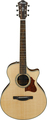 Ibanez AE205JR-OPN (Open Pore Natural)