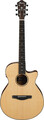 Ibanez AEG200-LGS (natural low gloss) Guitarra Western com fraque, sem coletor