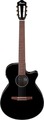 Ibanez AEG50N-BKH (black high gloss) Chitarre Classiche con Pickup