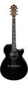 Ibanez AEG550 (black) Guitares acoustiques Cutaway avec micro