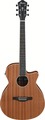 Ibanez AEG7MH-OPN (open pore natural) Cutaway Acoustic Guitars with Pickups