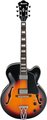 Ibanez AF75 (Brown Sunburst) Guitares électriques Archtop Jazz