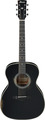 Ibanez AVC2019E-ABK-CH Swiss Edition #2 (distressed antique black semi gloss) Westerngitarre ohne Cutaway, ohne Tonabnehmer